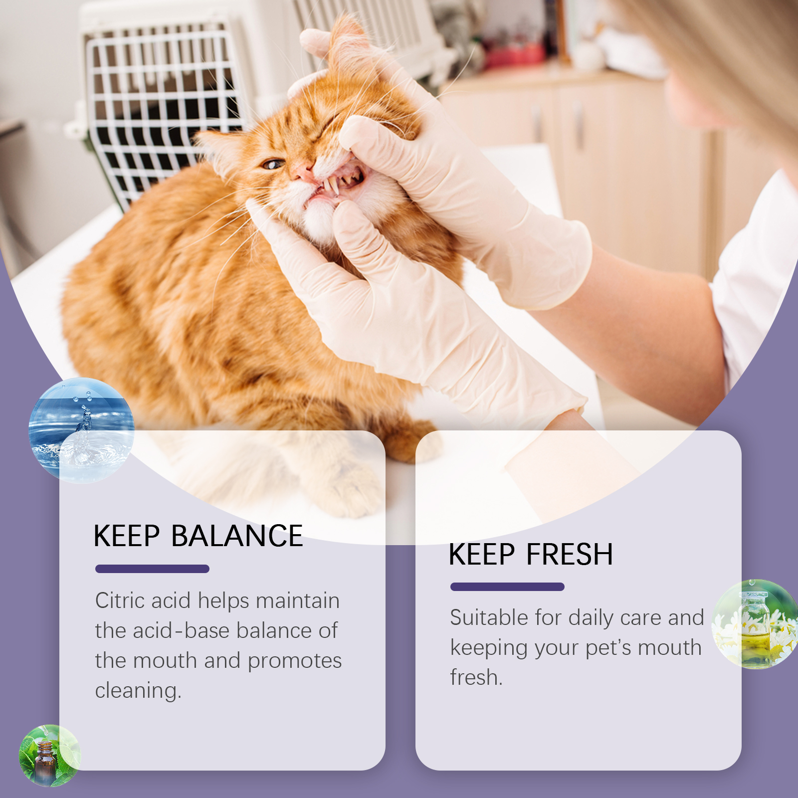 Gel de Reparación Oral para Mascotas Yegbong - Limpieza y Eliminación de Manchas Dentales Diaria — imagen 4
