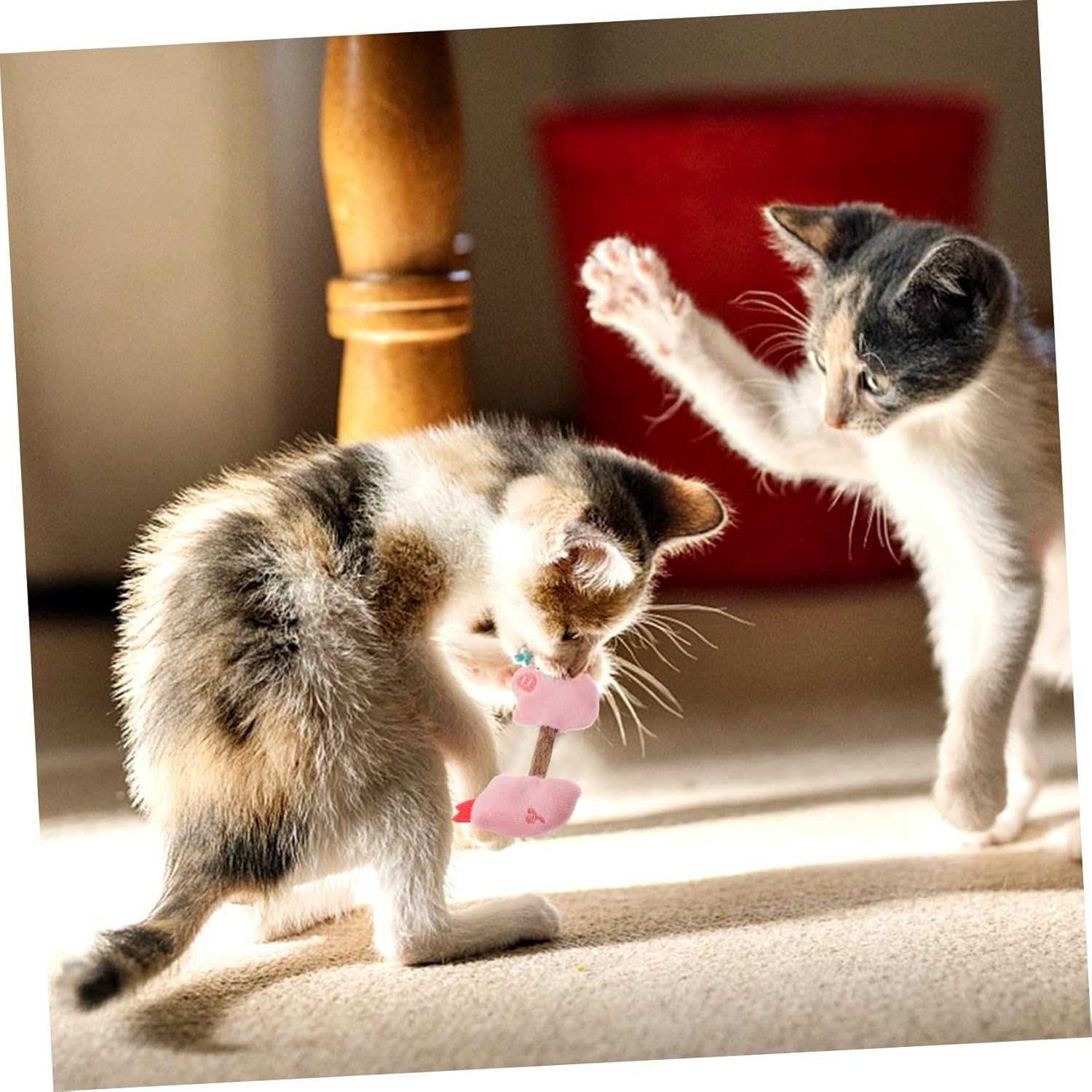 Cat Toy Kitten Toys Teeth Cleaning Toys Silvervine Sticks Cat Silvervine Stick Chew Sticks For Cats Cat Interaction Toys Kitten Plaything Cat Teaser Polygonum Wood The Cat — image 8