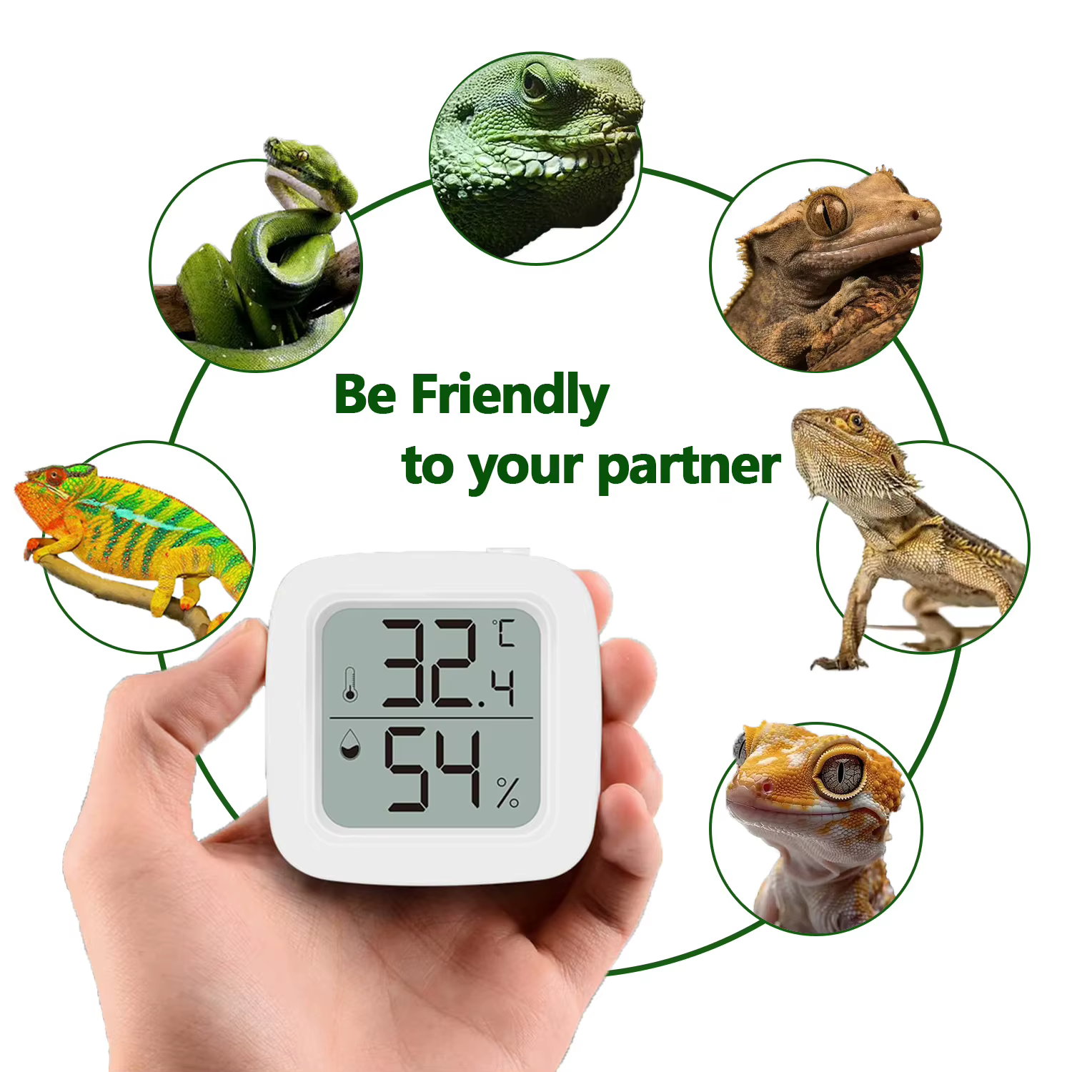 Termómetro y Higrómetro para Reptiles – Medidor Digital Preciso de Temperatura y Humedad con Pantalla LCD para Accesorios de Tanque de Dragones Barbudos — imagen 6