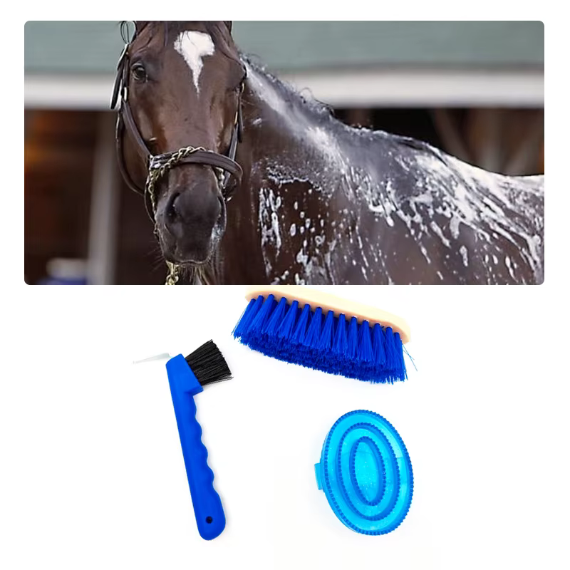 Kit de Limpieza y Cuidado del Caballo 3pcs - Herramientas para el Mejor Estado de Salud — imagen 6