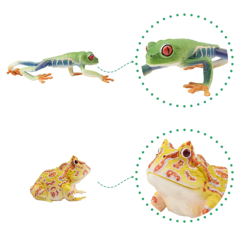 12 Piezas de Figuras de Ranas de Simulación, Juguetes de Animales Reptiles, Mini Ranas de Figuras, Muñecos de Acción, Juguetes para Niños, Juego de Regalo y Decoración de Pasteles — imagen 4