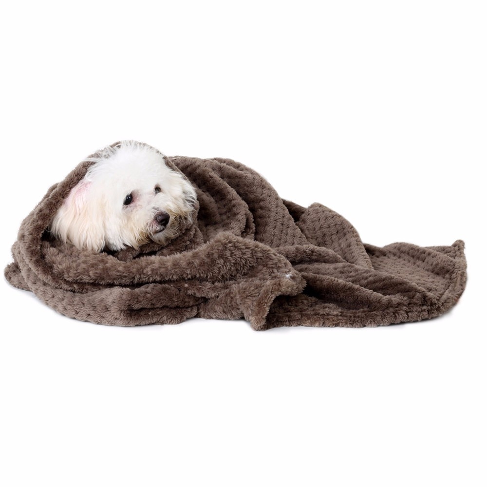 Blanket, Pet, Dog, Warm — image 1
