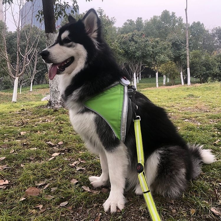 LED Pet Light-Emitting Sling Detachable Dog Reflective Sling Anti-Breakaway Cat Sling USB Charging Models — image 1