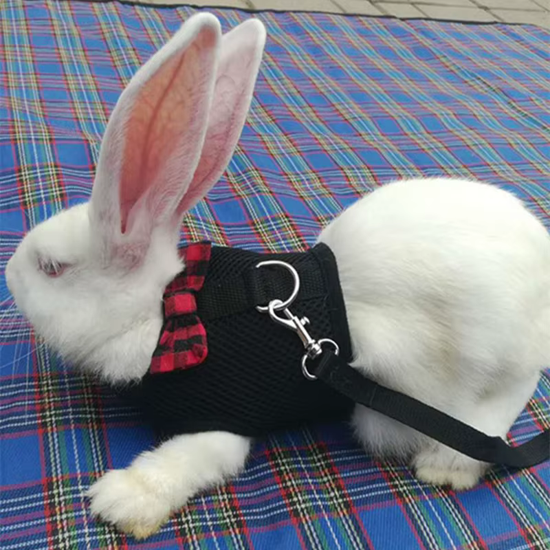 Rabbits Hamster Vest Harness With Leas Bunny Mesh Chest Strap Harnesses Ferret Guinea Pig Small Animals Pet Accessories S/M/L 4 — image 3