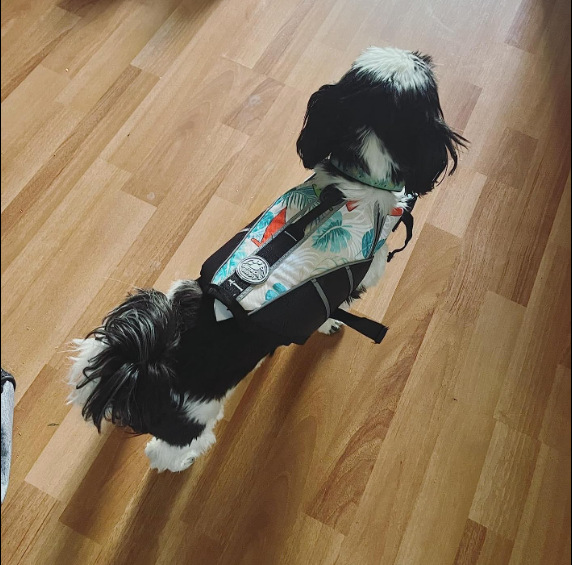 Professional Pet Life Vest Swimming Clothes Dog Outdoor Supplies Large Dog Buoyancy Swimsuit — image 6