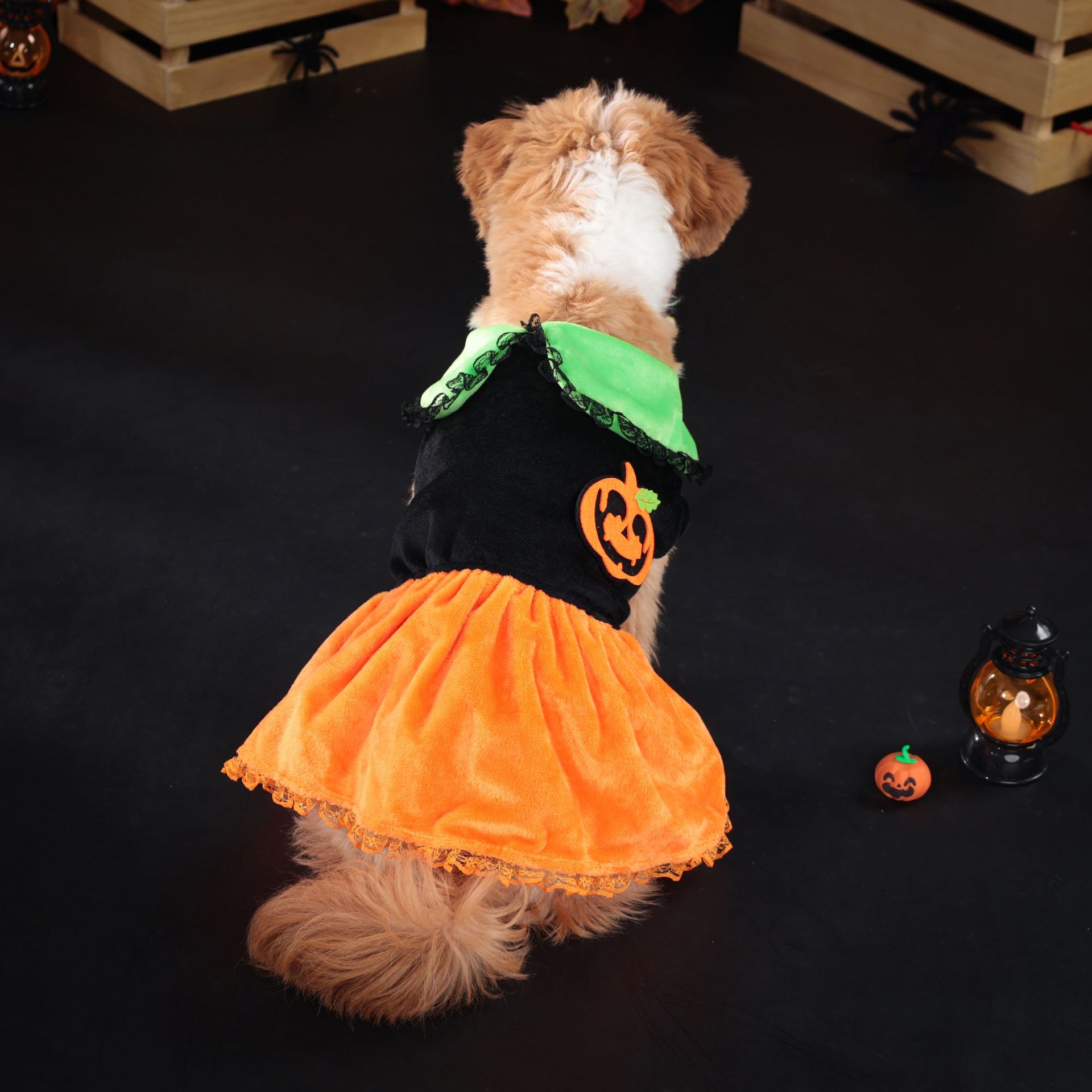 Halloween Pumpkin Collar Dress for Small and Medium DogsPet Dog Clothing — image 5