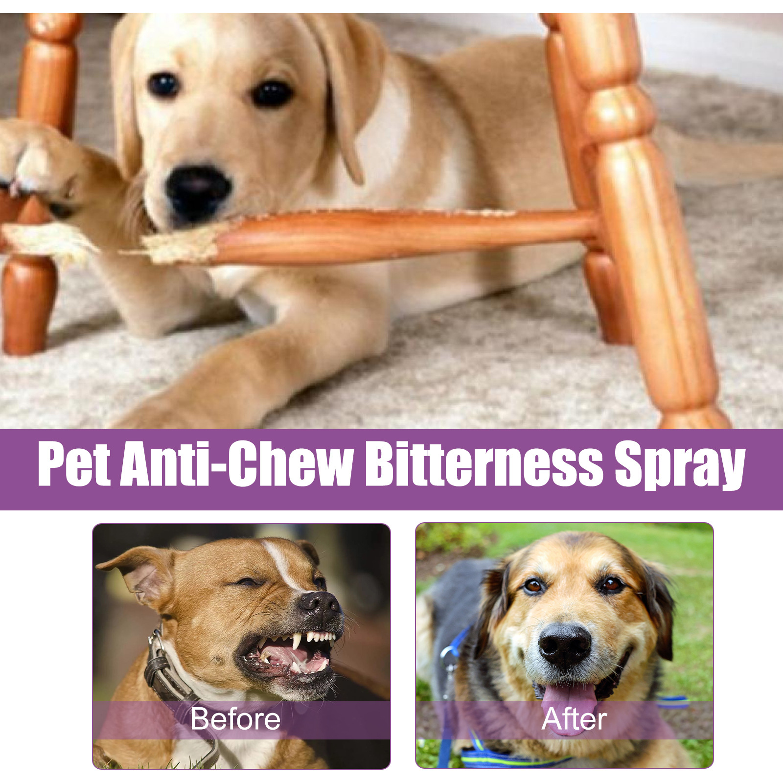Spray de Reducción de Ruido para Mascotas Yegbong - Calma y Soberna a tu Compañero con Aceites Esenciales — imagen 5