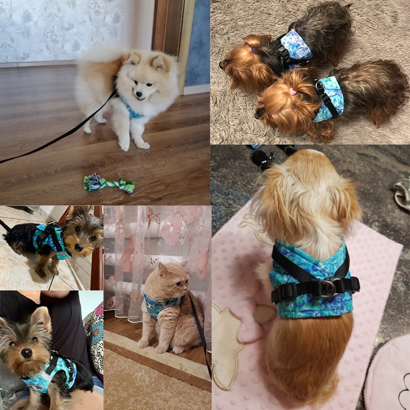 Winter Dog Harness Vest Collar with Leash Set Pet Walking Harness Adjustable Cat Led Reflective — image 3