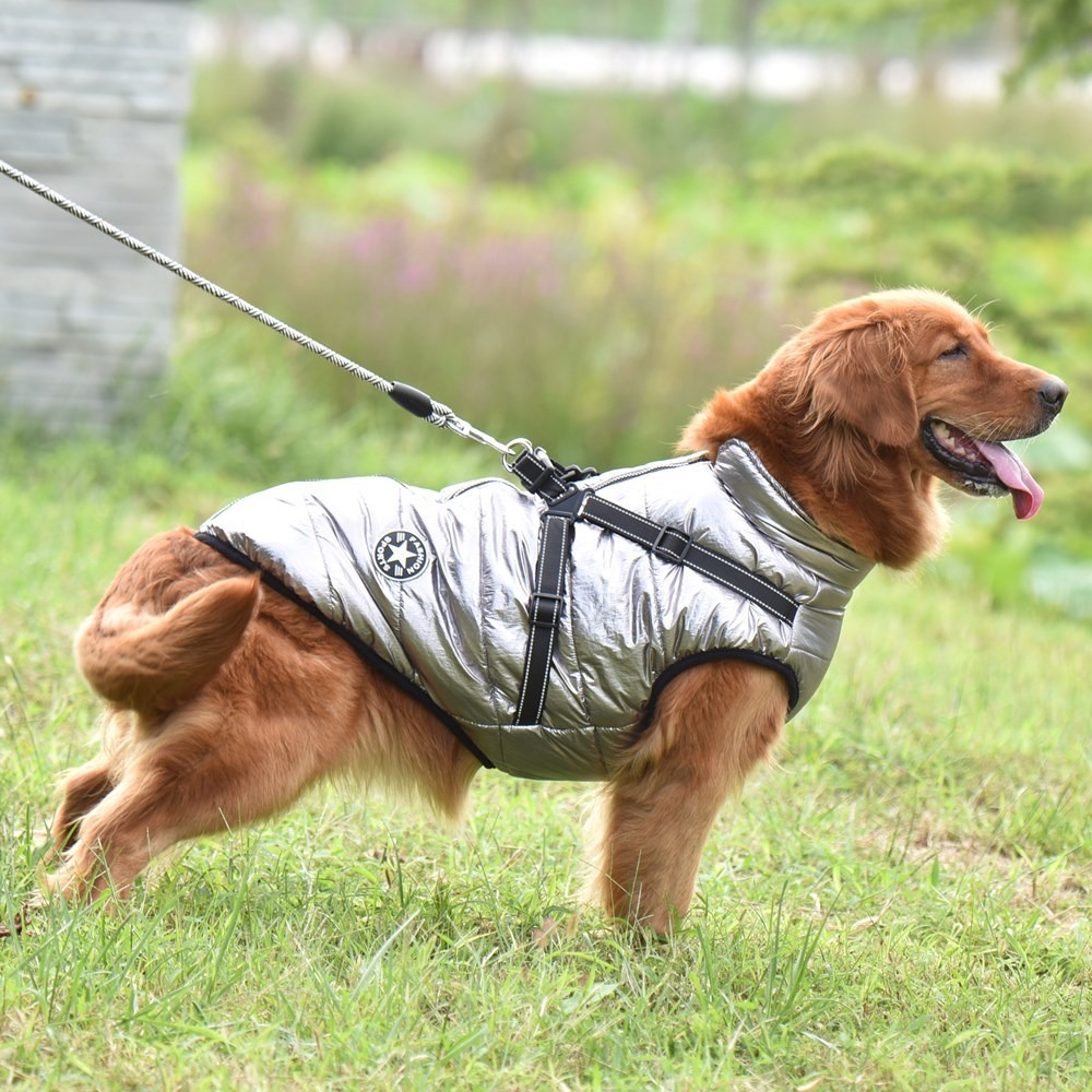 Autumn And Winter New Pet Clothes Christmas Big Dog Clothes Thickened Warm Dog Cotton Clothes Pet Clothing — image 7