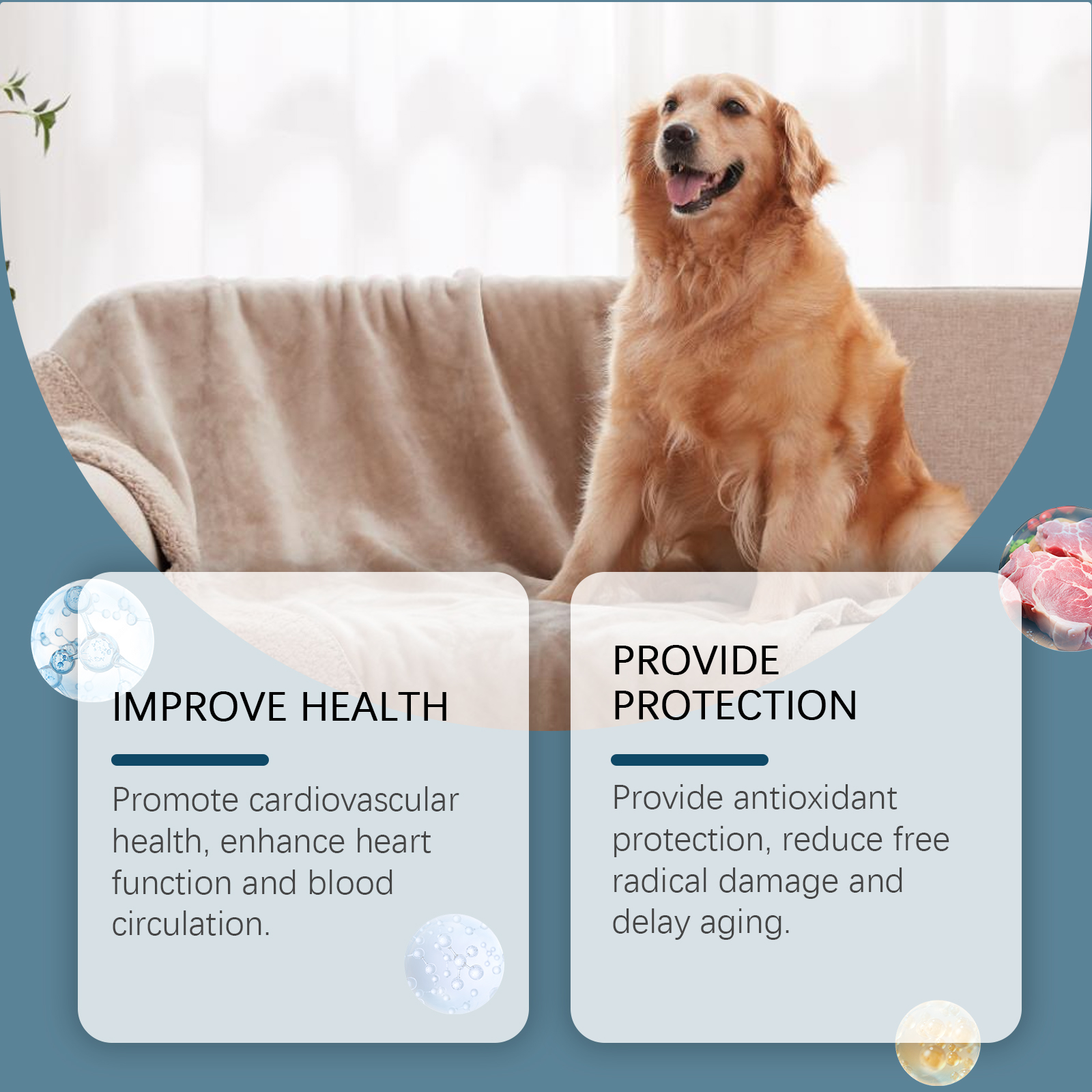 Suplemento Mineral para Perros en Tabletas, 80 Tabletas Chupables de Minerales para Pica, Apetito y Salud Ósea Humano Grado — imagen 8