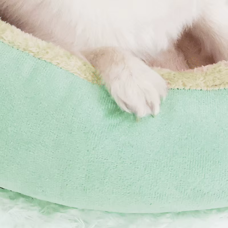 Cat & Dog Beds Oval shaped pet nest All Houses Supplies Things Habitats Basket House Beds Pet Products Cushion Goods Accessories — imagen 3