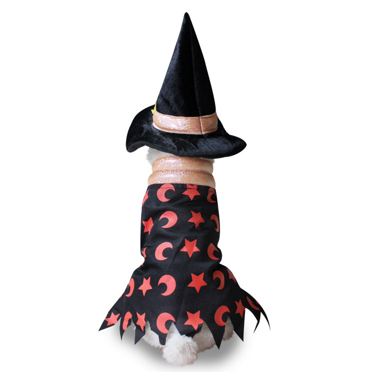 Dog Halloween costume with funny costumes — image 5