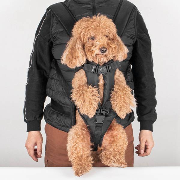 Portador Seguro y Cómodo para Perros con Manos Libres — imagen 3