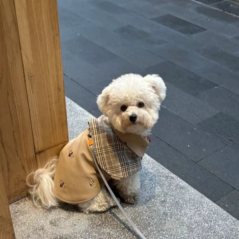 Ropa para Mascotas: Capa Vintage de Detective con Estampado de Corbata Inglesa a Rayas, Capa Exterior para Perros Pequeños, Capa Marrón para Cachorros — imagen 1