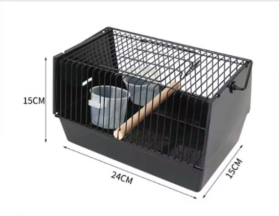 Out of the bird cage — image 3