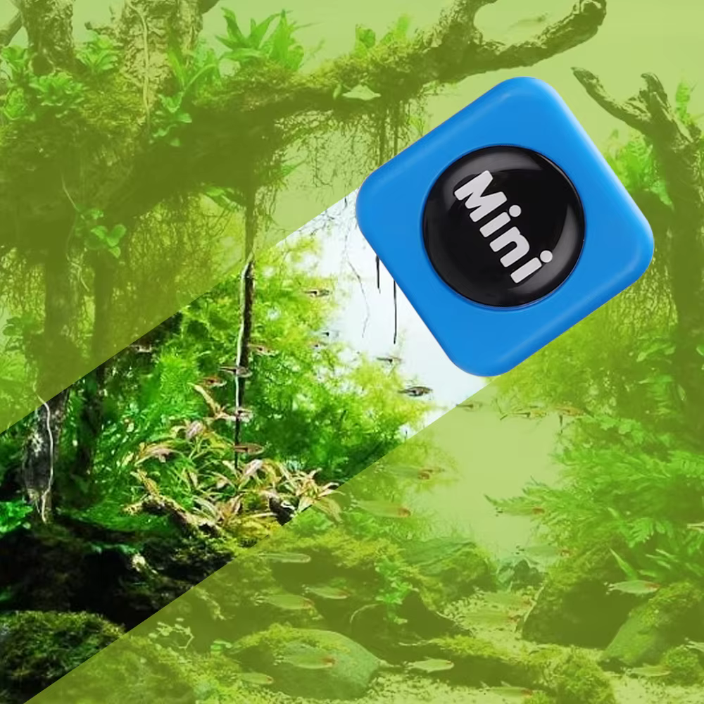 Limpia de Algas Magnética Mini Peine para Acuario Cepillo de Vidrio Curvo Flotante Herramienta para Limpiar Vidrio de Tanque de Peces — imagen 1