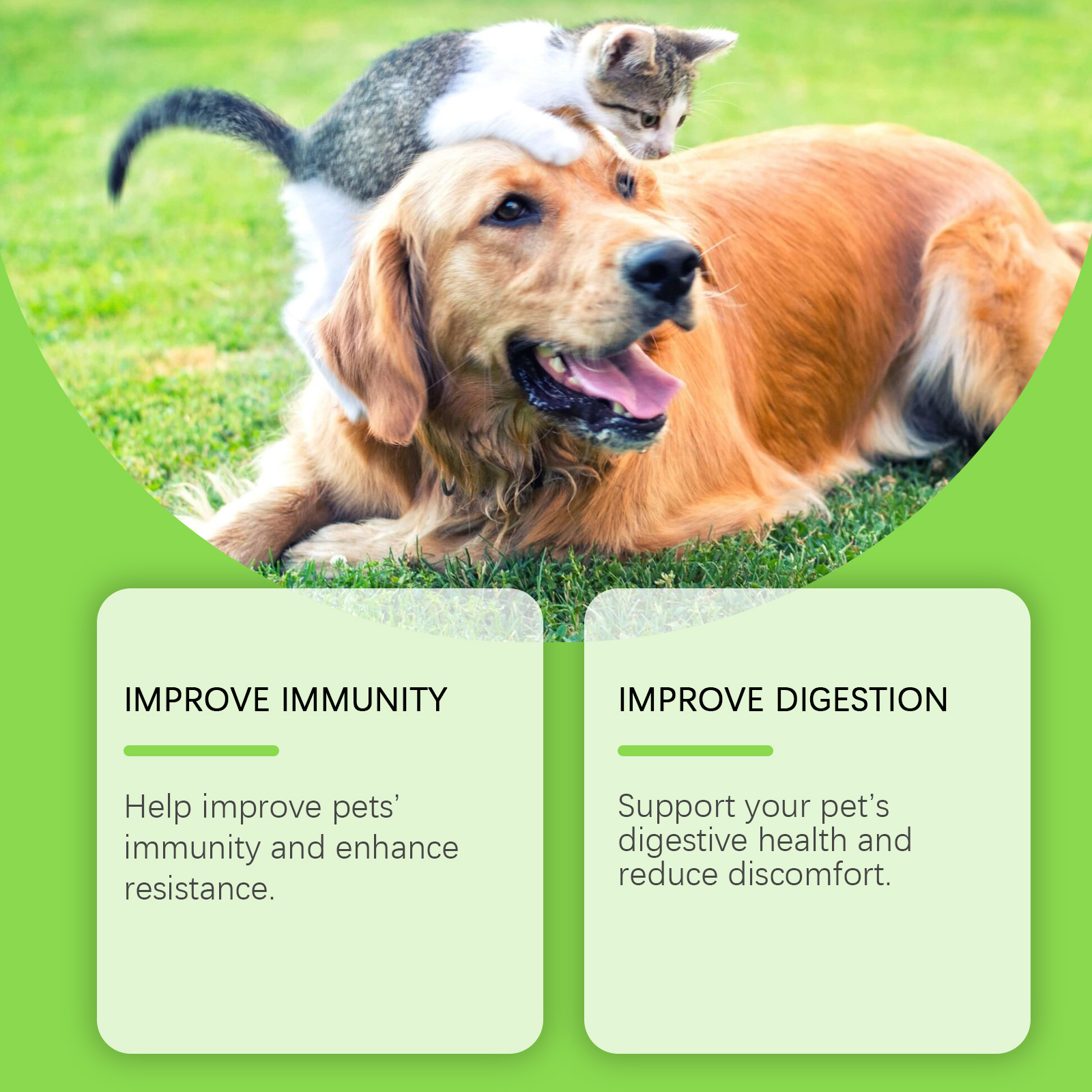 Suplementos Probióticos y Vitaminas para Perros y Gatos - Salud Intestinal, Digestión y Sistema Inmunológico, 80 Tabletas Comestibles — imagen 9