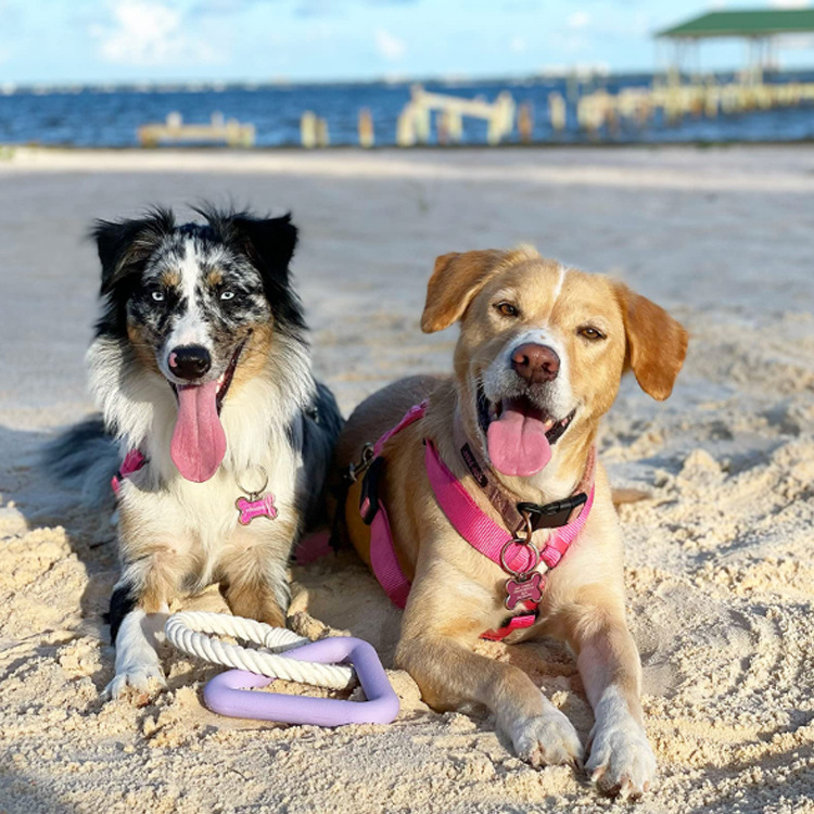 Juguetes de Tira para Mascotas - Juguetes Interactivos y Divertidos para Perros con TPR — imagen 2