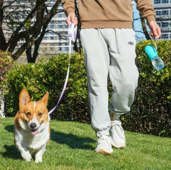 Pet Dog Water Bottle 300ML Puppy Drinking Bowls For Small Medium Dogs Cats Hiking Portable Cat Feeder Golden Retriever Supplies — image 6
