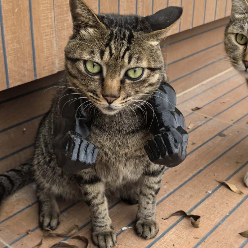 Hulk Cat Arm Pet Dog Toy Photography Prop 3D Printed Cute Funny Creative Cat Costume Backpack — image 5