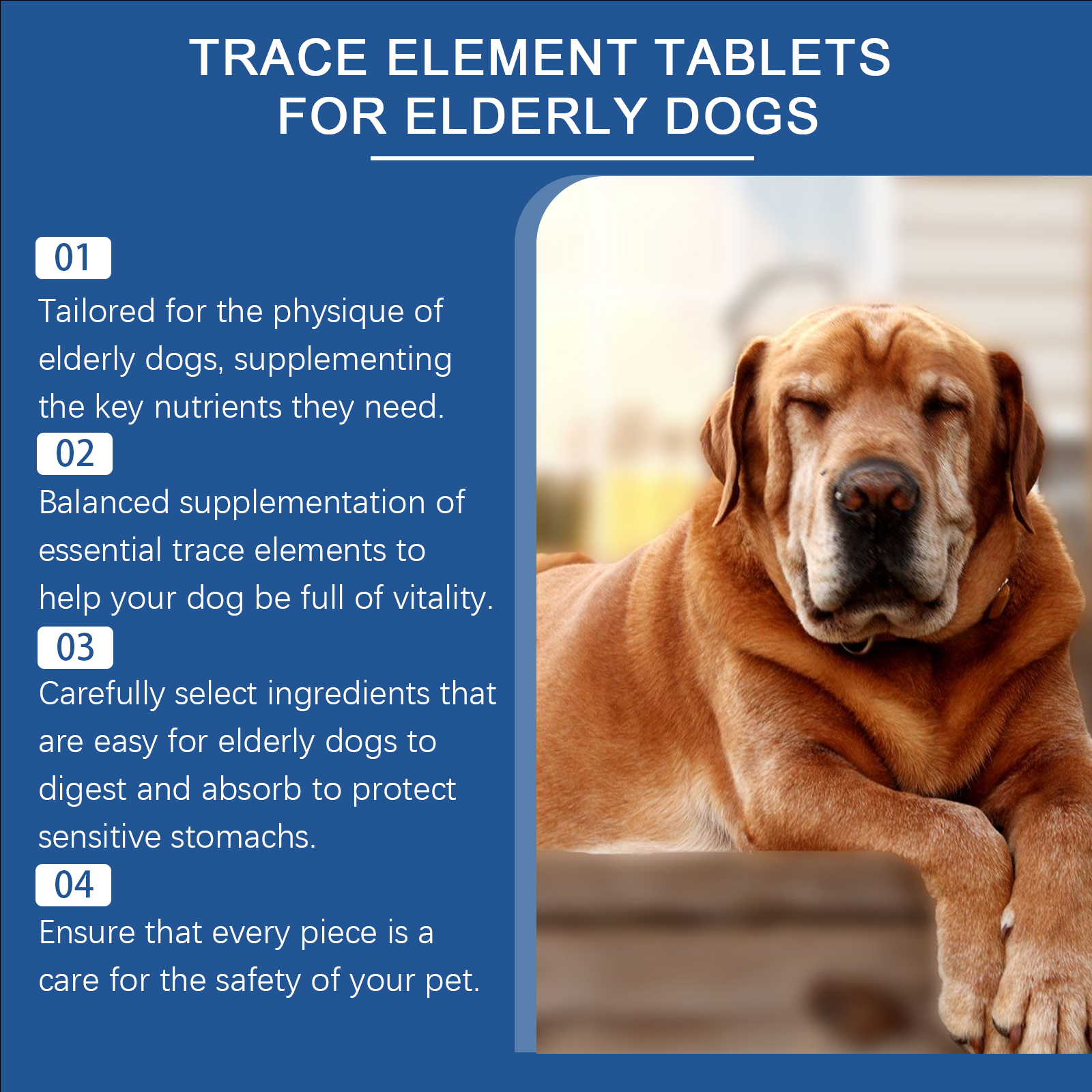 Tabletas de Elementos Traza para Perros Mayores - Suplemento Multimineral para Caninos Ancianos que Apoya Salud Ósea, Pelo y Digestión — imagen 3