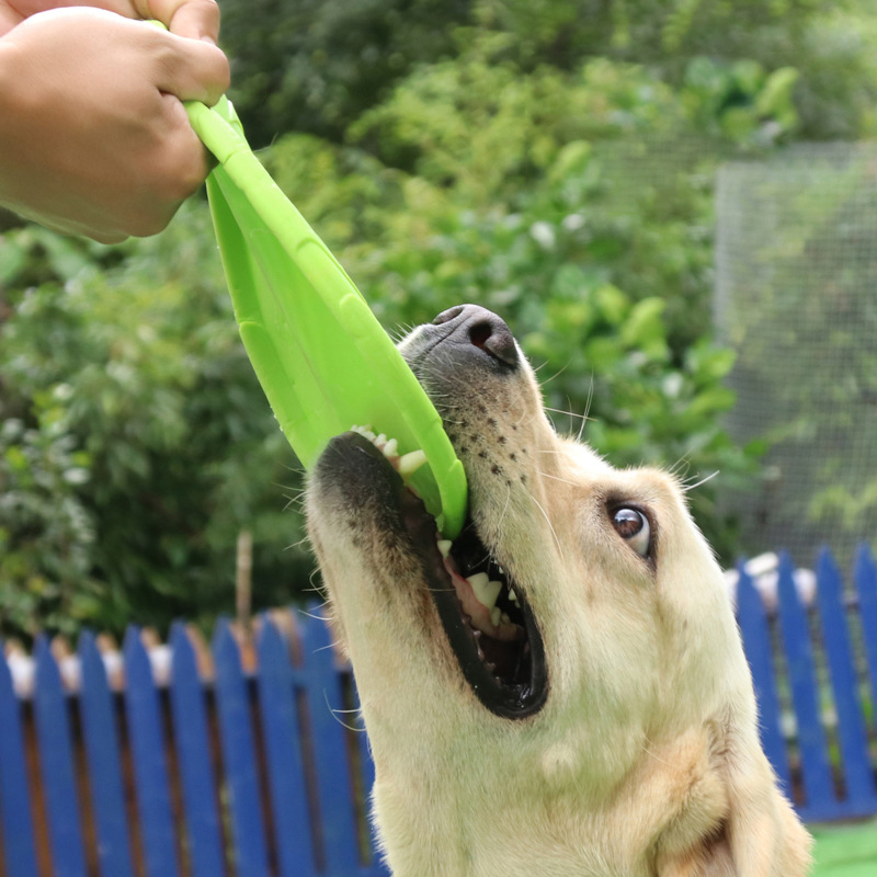 Meianju Dog Frisbee Pet Toys Interactive Toys Pet Frisbee Floating Bite resistant Retrieving Training — image 2