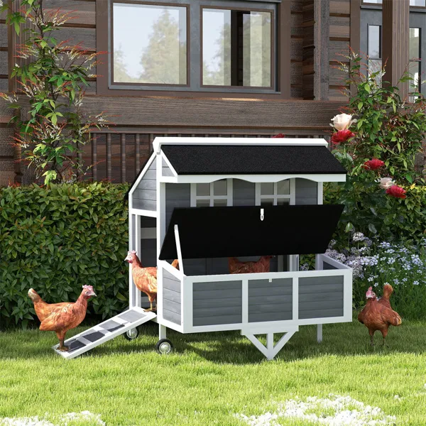 Chicken Coop — imagen 1