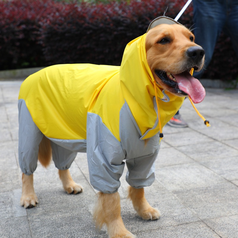 Chaquetón de agua para perros, procesamiento de ropa para mascotas, chaqueta grande para cuatro patas con pelaje dorado — imagen 2