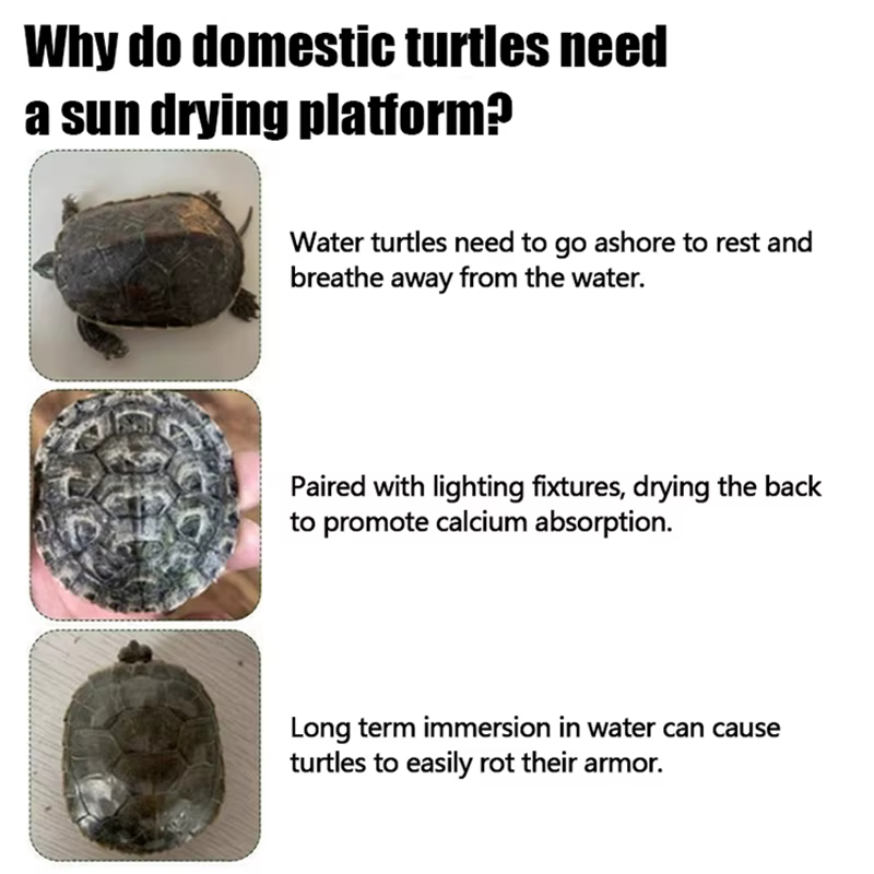 Plataforma de Descanso para Tortugas de Tamaño S/M/L - Decoración Acuática con Cepillo y Rampa de Hierba — imagen 6