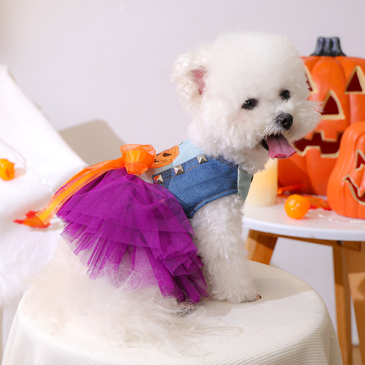 Pet Circle Spring Summer Cute Cartoon Pumpkin Style Whimsical Pumpkin Dress for Dogs and Cats — image 4