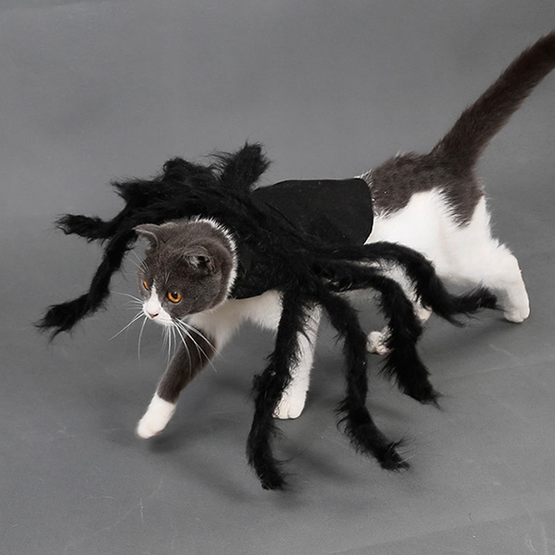 Ropa de Araña para Mascotas: Disfraz de Halloween para Perros y Gatos con Pelo Largo Negro — imagen 4