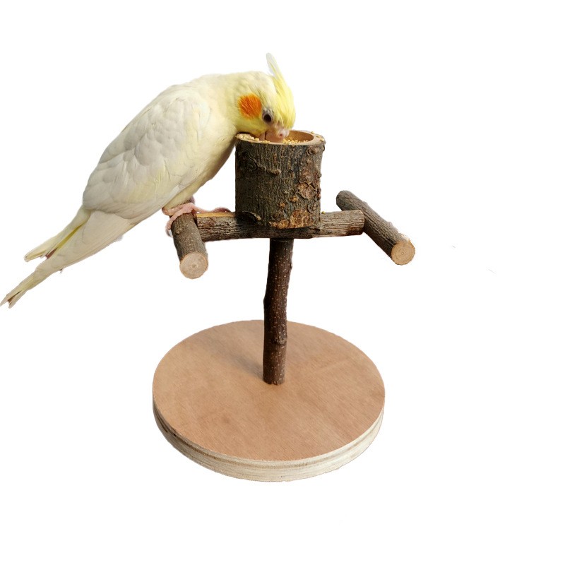Solid Wood Parrot Station Frame Training Bird Shelf Parrot Toys — image 3