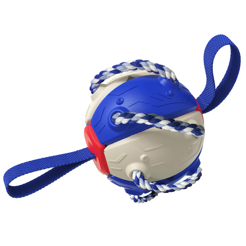 Pet Supplies Throwing Frisbee Outdoor Training Interactive Frisbee Football Dog Toy — image 9