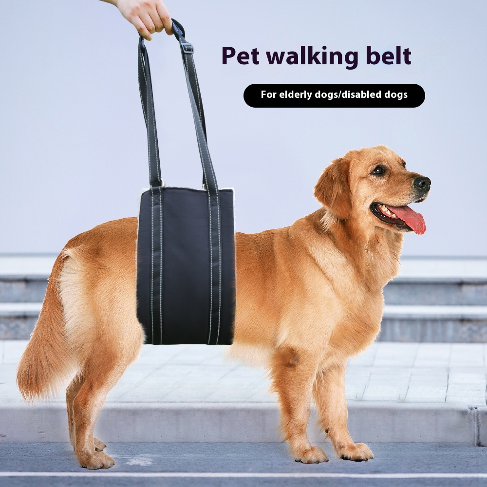 Cinturón Ajustable de Rehabilitación y Entrenamiento para Perros, Artículos para Mascotas Mayores o con Discapacidad — imagen 1
