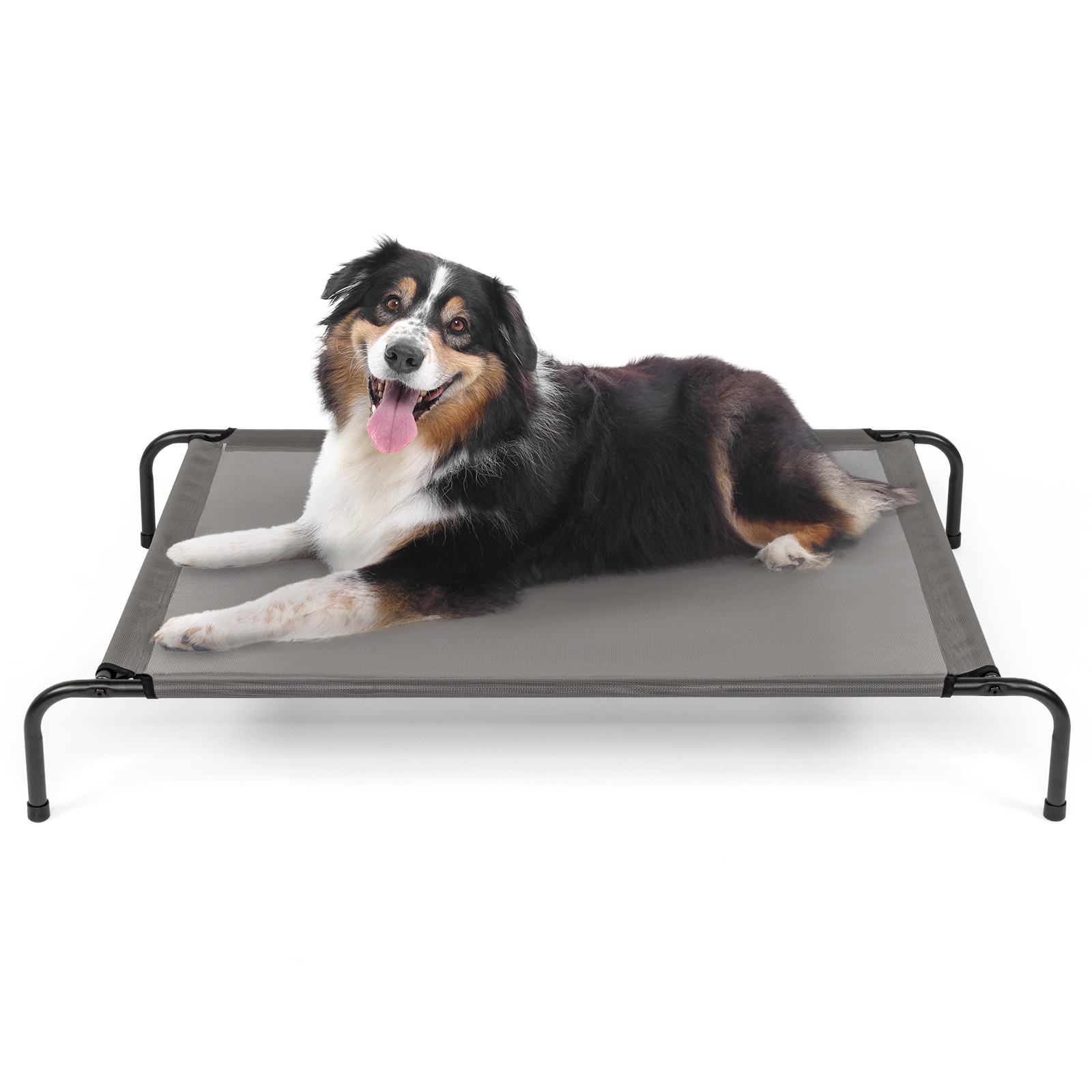 Camas para Mascotas — imagen 1