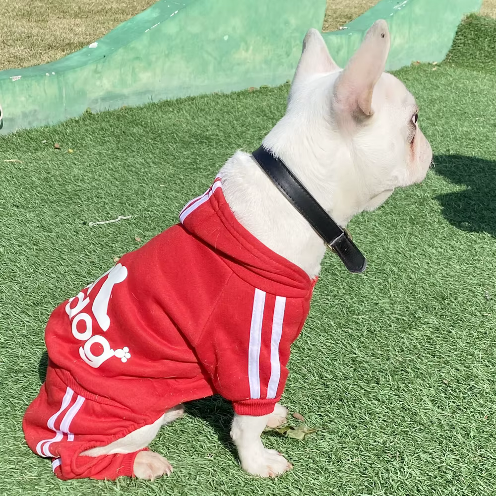 Traje de deporte para perros con capucha - Chaquetas y overoles para pequeños perros — imagen 2