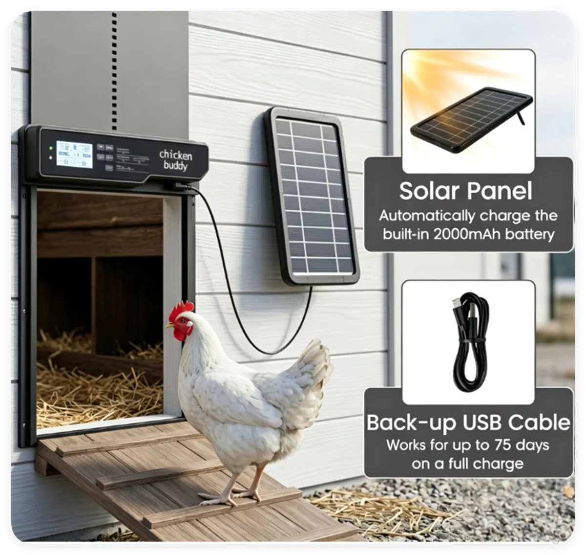 Solar Powered Automatic Chicken Coop Door with 4 Control Modes Light Sensor Timer Remote Manual, Anti-Pinch Weatherproof Aluminum Alloy Poultry Door Opener for Chickens Ducks Pigeons — image 2