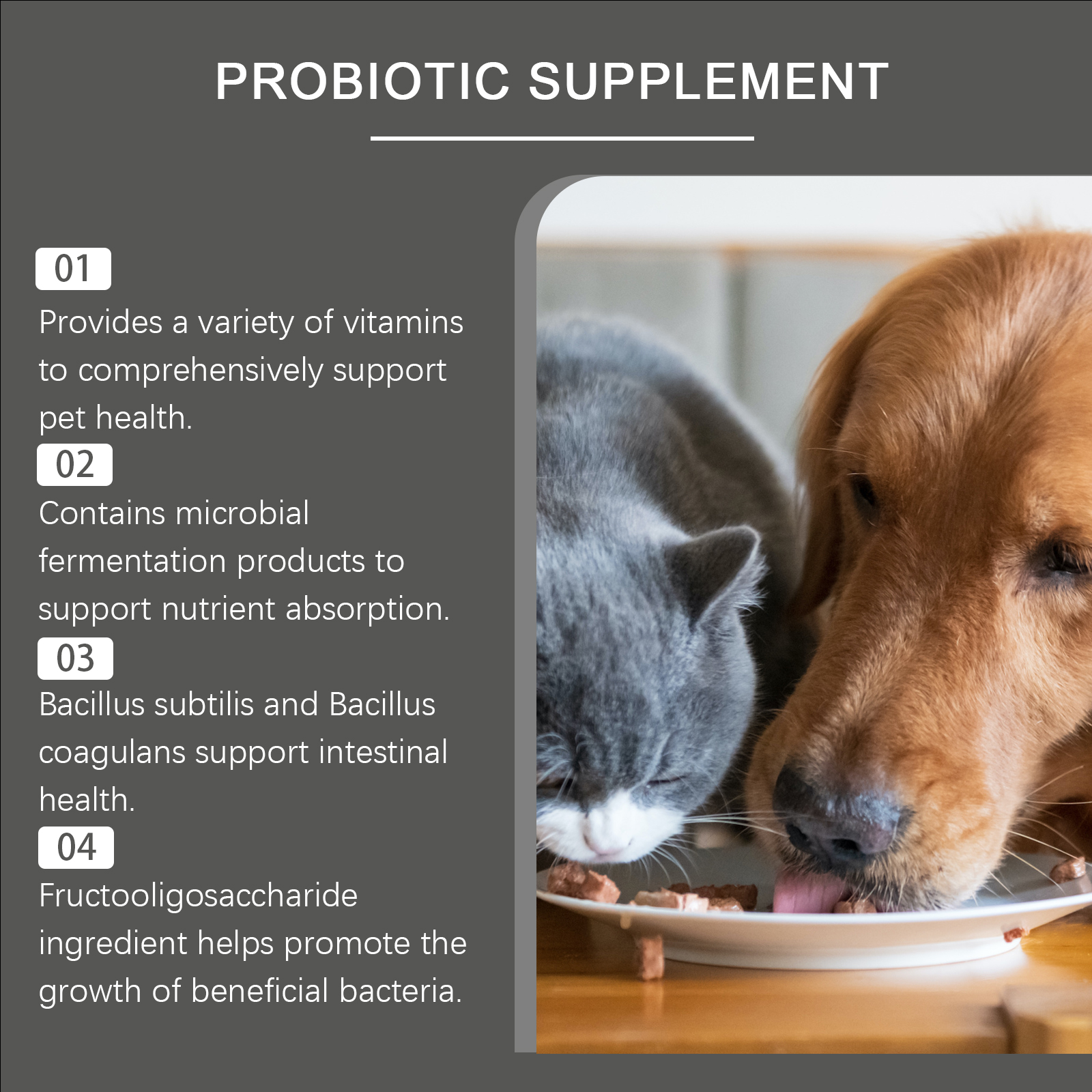 Tabletas de Probióticos para Mascotas Comestibles - Soporte para Salud Digestiva e Inmunológica, con Vitamina B2 y Selenio de Levadura, 80 tabletas — imagen 3