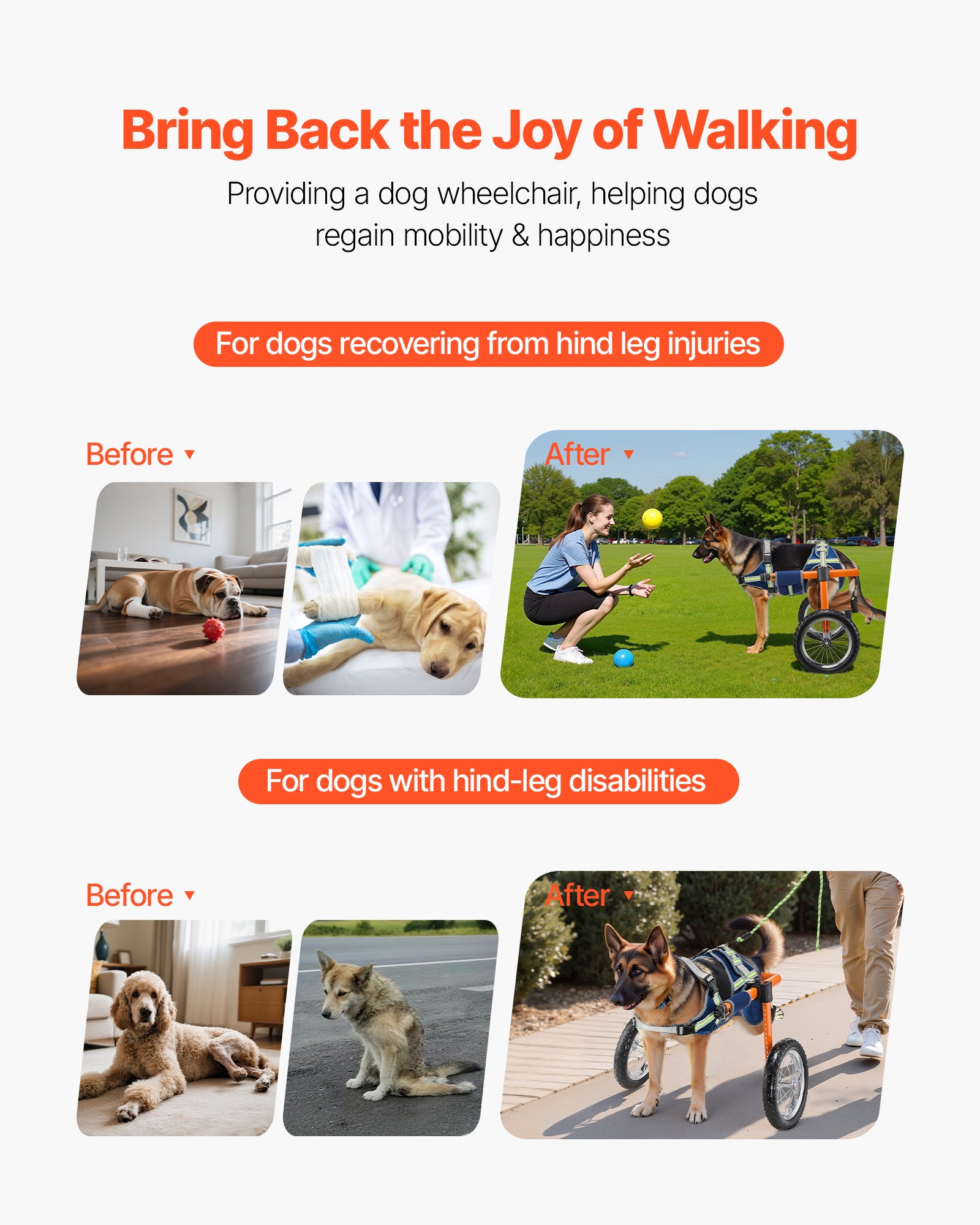 Silla de Ruedas para Perros con Patas Traseras, Ligera 2 Ruedas - Ajustable en Altura, Ancho y Largo — imagen 2