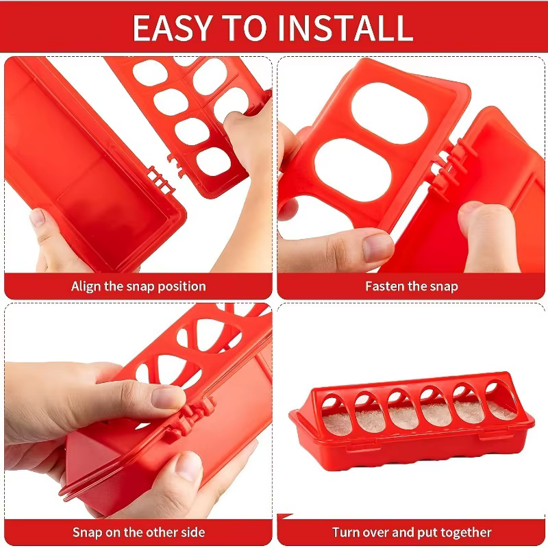 Chicken Feeder: Multi-Hole Tray, Anti-Theft, for Chicks, Quail & Wyandotte — image 6