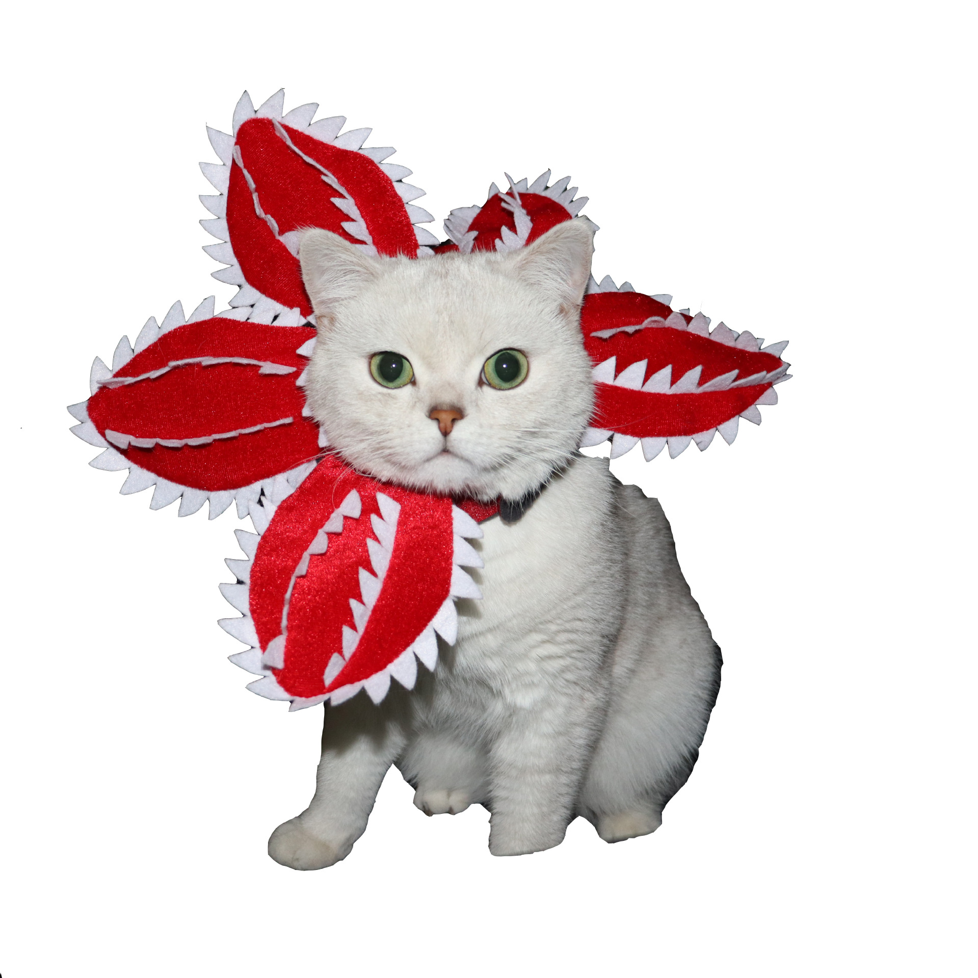 Pet Cat Dog Carnivorous Plant Headpiece Halloween Cosplay Costume Hat — image 5