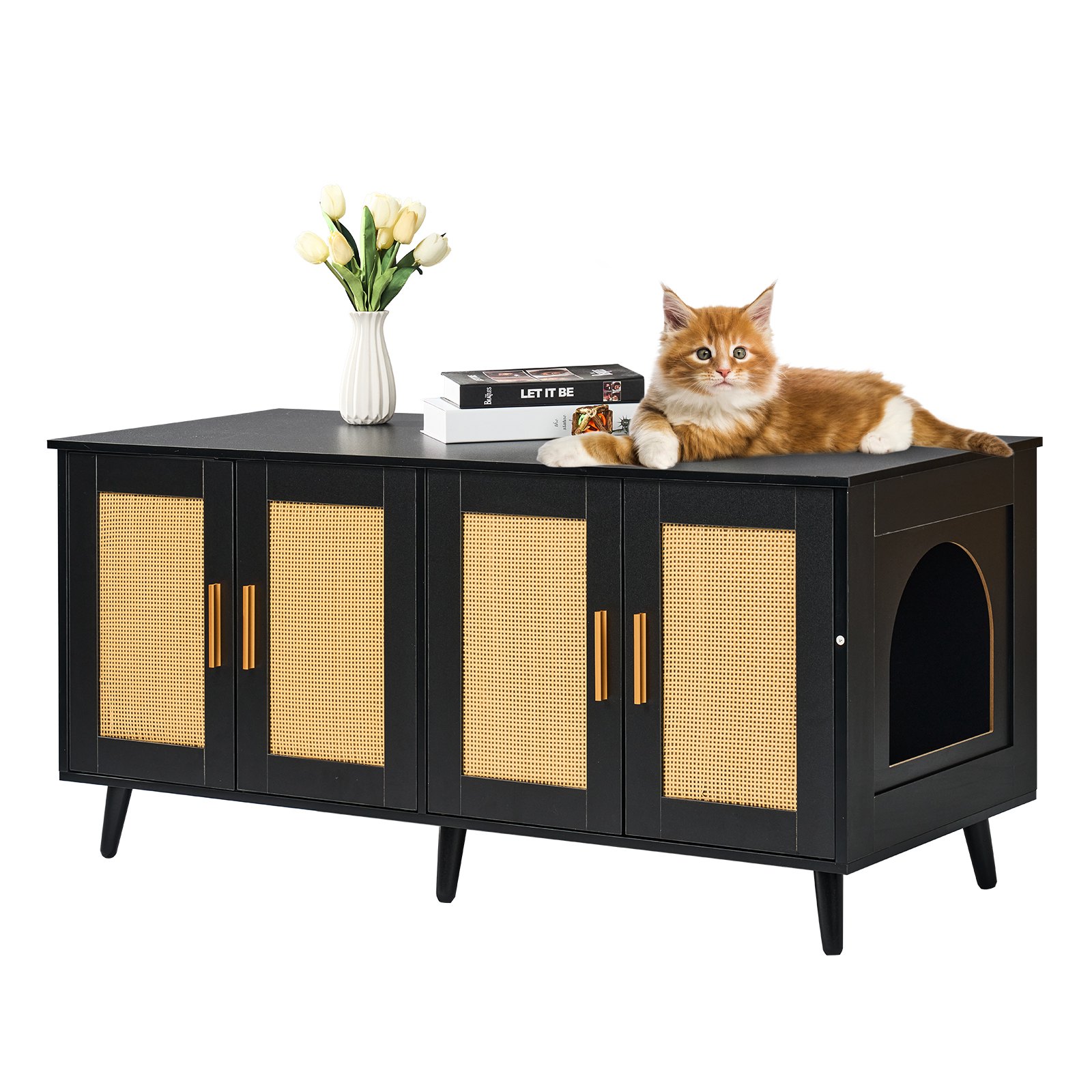 Caja de Arena para Gatos Encierro de Madera con Dos Habitaciones Negro — imagen 1