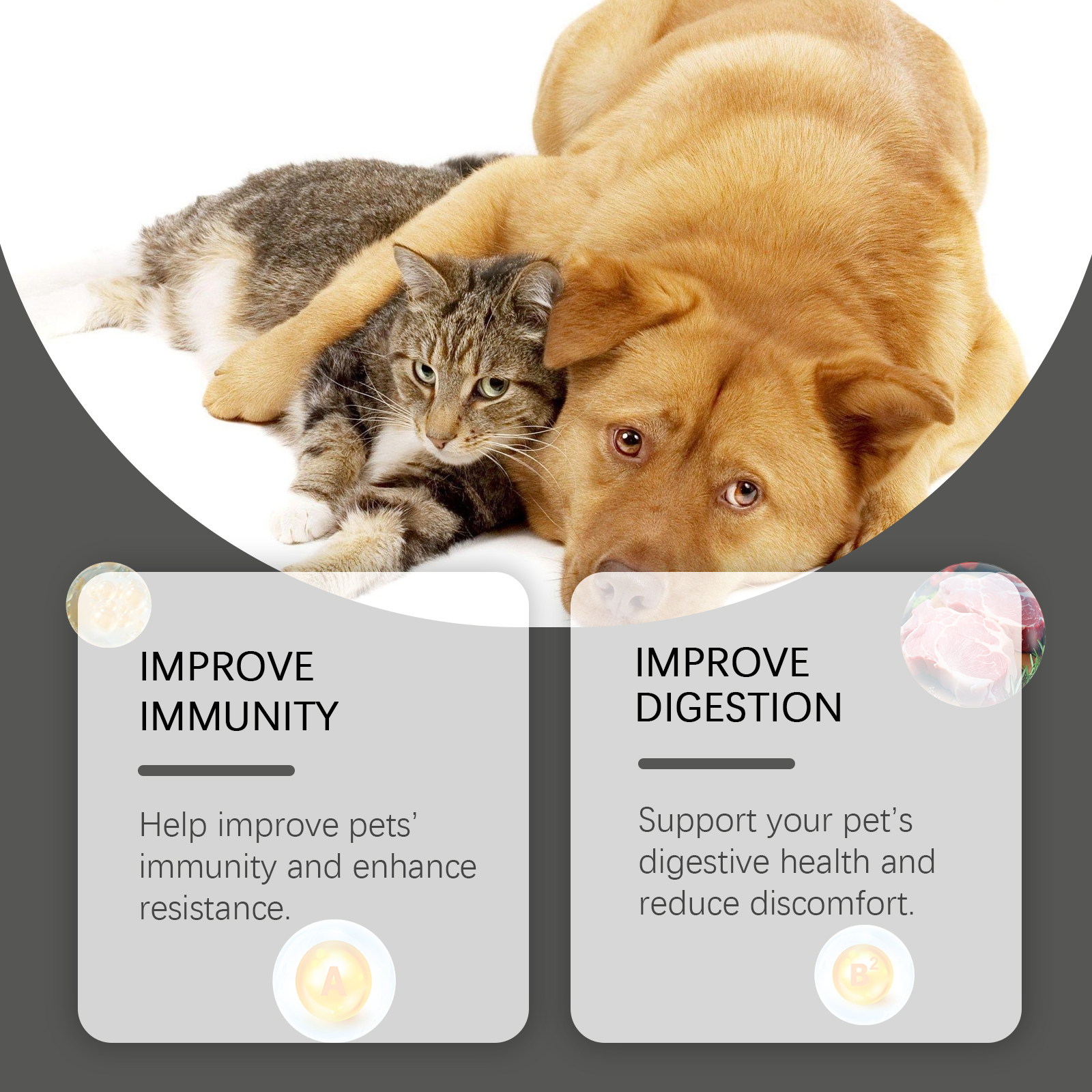 Cats And Dogs General Compound Probiotic Tablets, Pets Absorb Nutrition Supplement Tablets Dog And Cat Nutrition — image 6