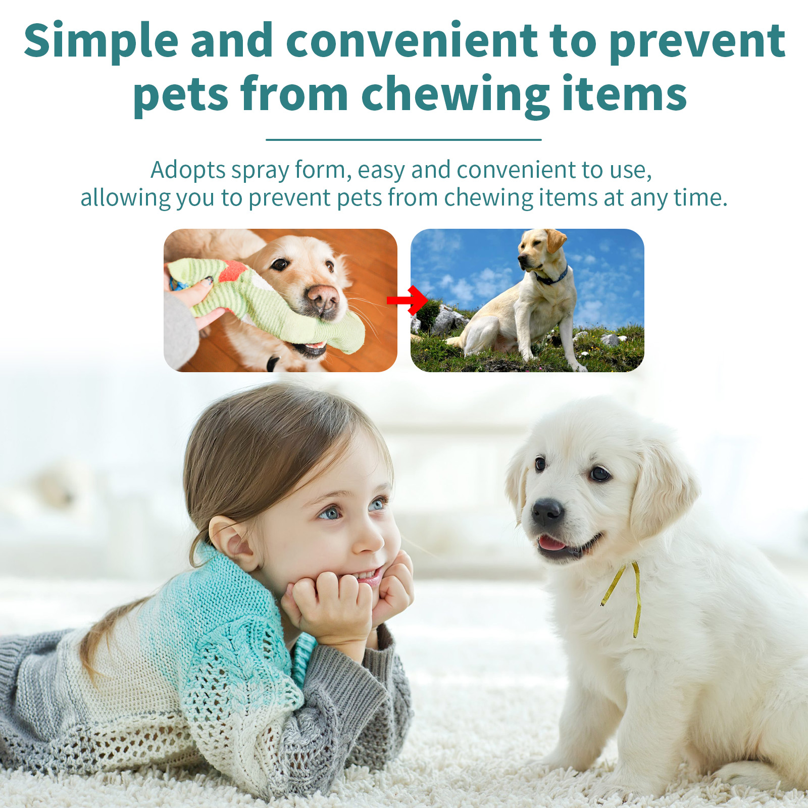 Corrective Chewing Spray For Pets, Anti-Cat/Dog Scratching Sofa Chewing Pet Behavior Modification Spray — image 6