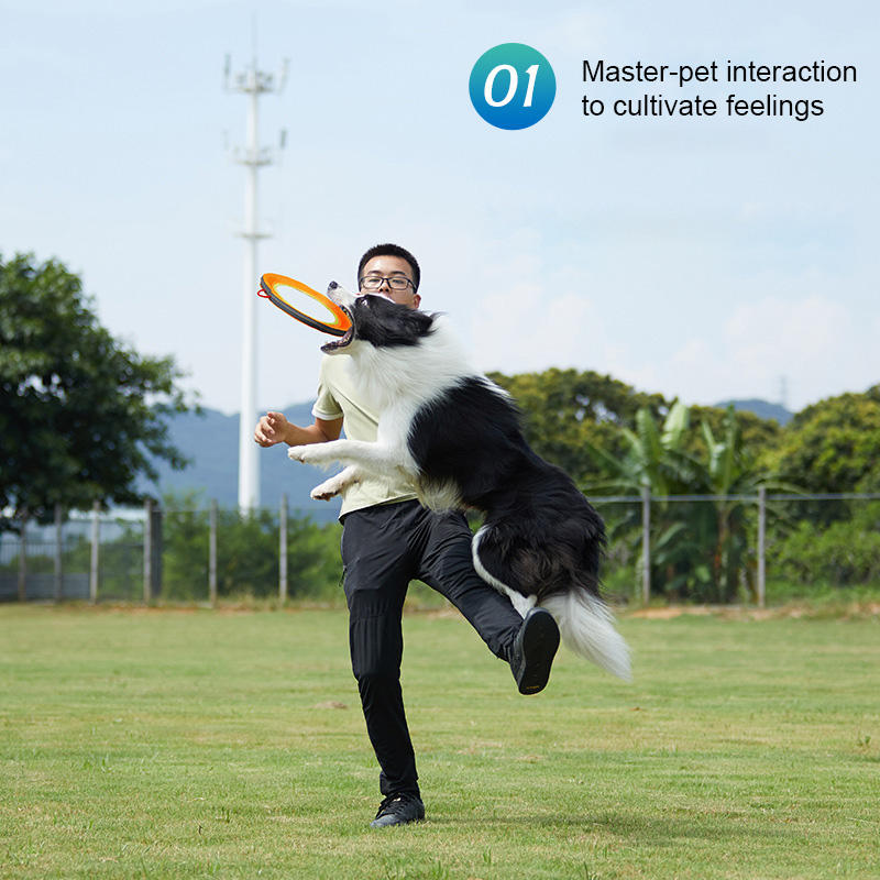 Interactive communication and retrieval of pet training dog frisbee with linen hollowed out frisbee — image 4