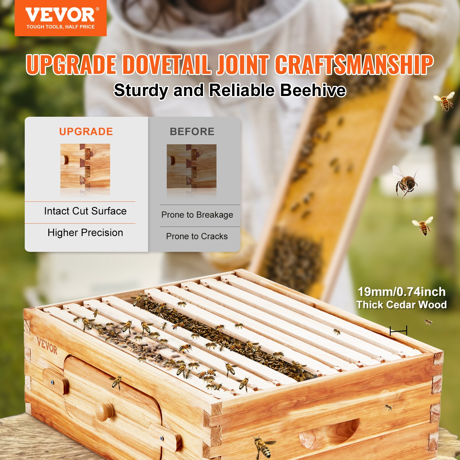 Bee Hive Medium Box Starter Kit, 100% Beeswax Coated Natural Cedar Wood, Langstroth Beehive Kit With 10 Frames And Foundations, Transparent Acrylic Bee Windows For Beginners And Pro Beekeepers — image 2