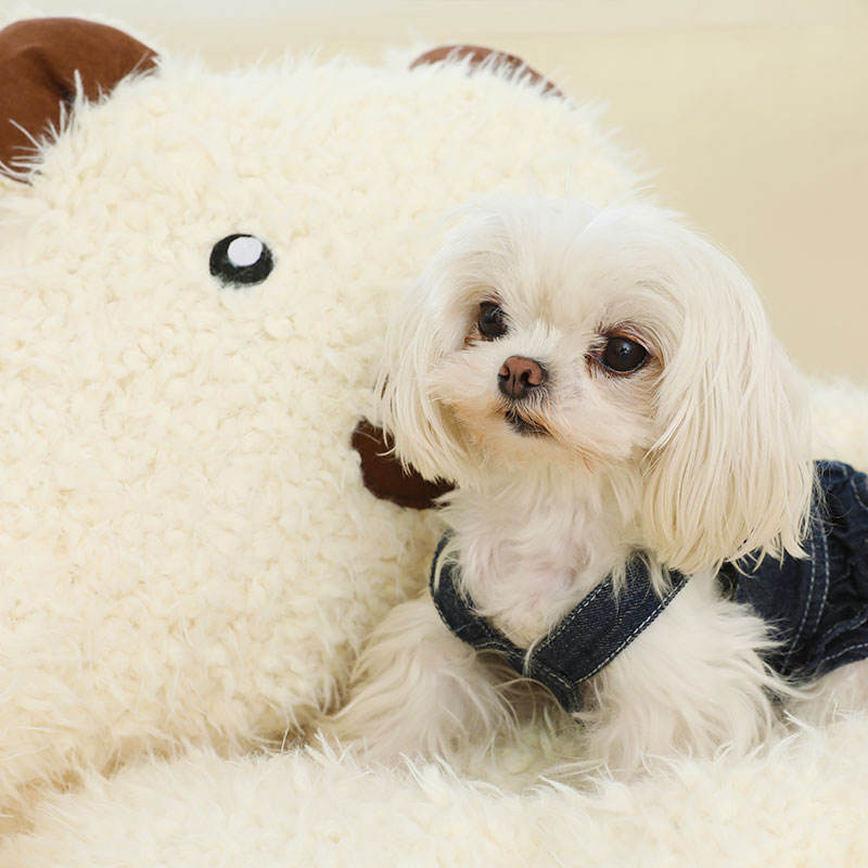 New Winter Cute Alpaca Cat Bed House Nest Warm Comfortable Pet Products Bottom Non-slip Bed For Dog Bed Pet Mats Pads — image 2