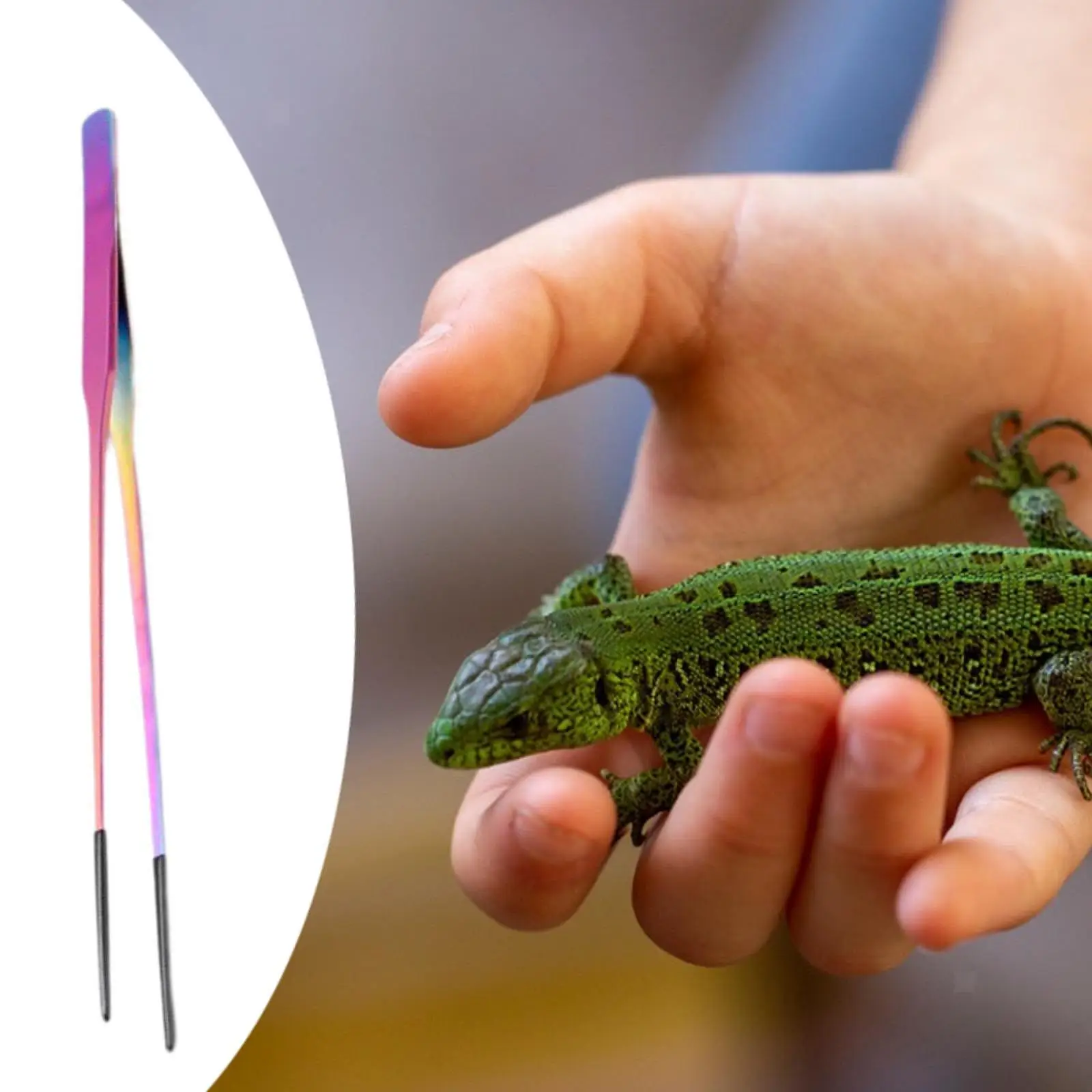 Reptile Feeding Tongs Rust Resistant Lizard Feeding Tweezers Bearded Dragon Feeder Stainless Terrarium Feeding Tool For — image 1