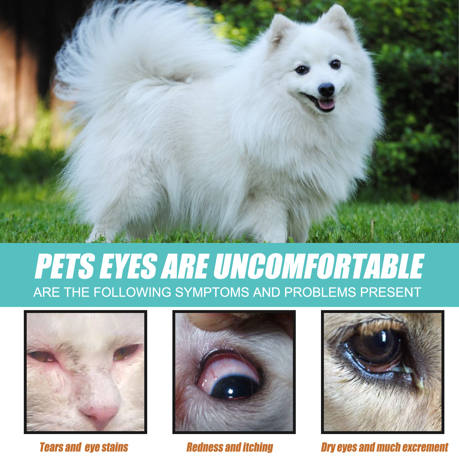 Sero para Secado de Lágrimas en Perros y Gatos - Solución Tópica para Ojos Brillantes — imagen 5