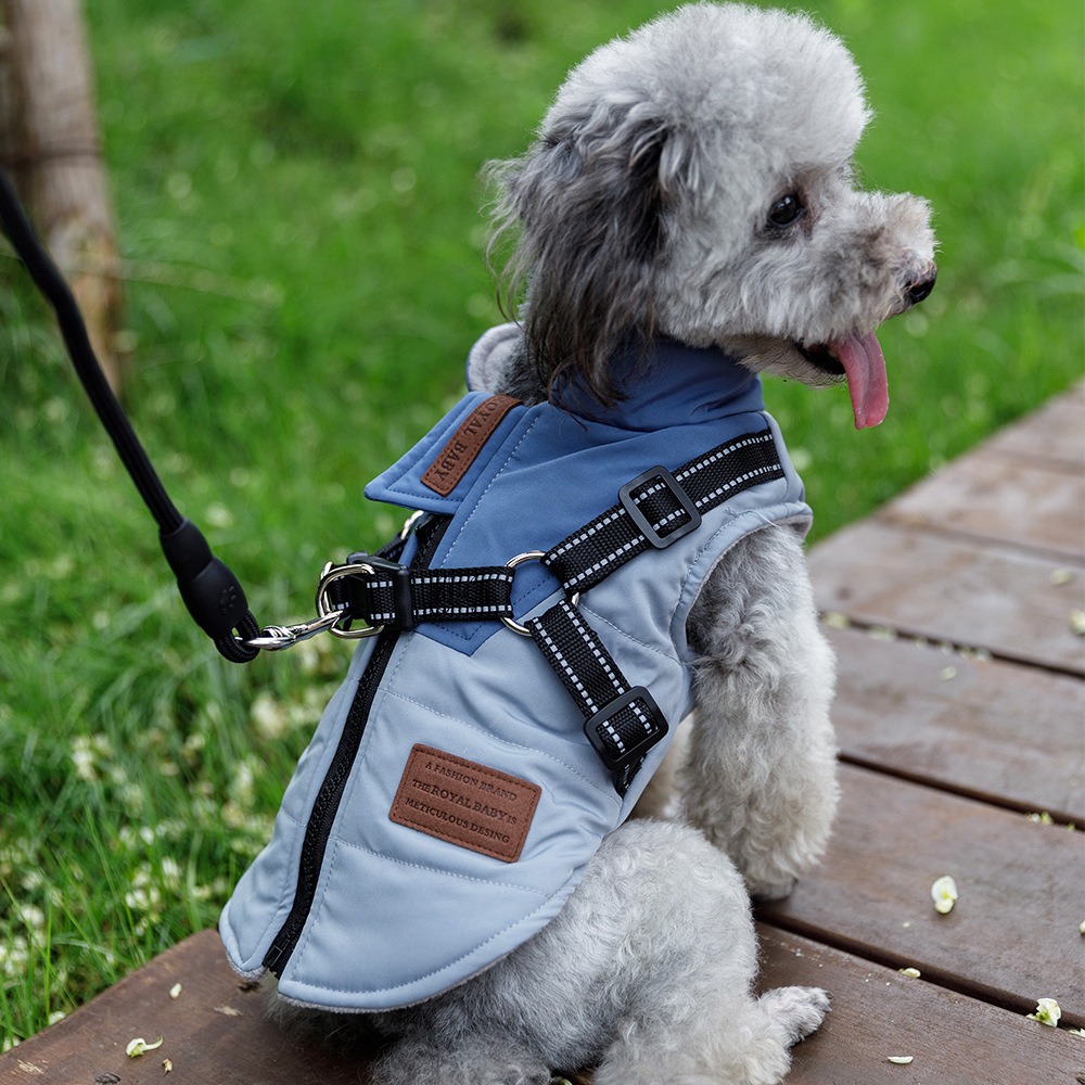 Pet Dog Clothes Warm and Thickened Autumn and Winter Two legged Teddy Bears Pomeranian Schnauzer Small Dog Vest — image 2